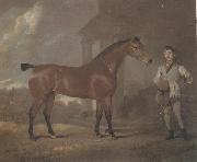 The Racehorse 'Woodpecker' in a stall, David Dalby